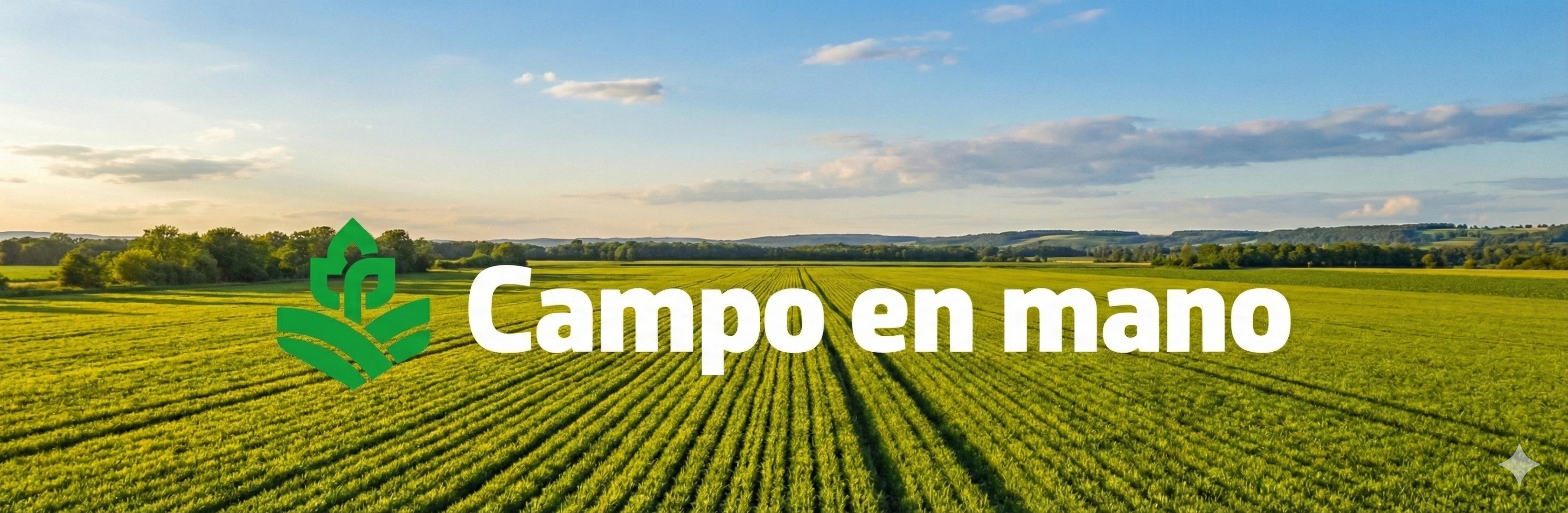 Imagen de la tienda